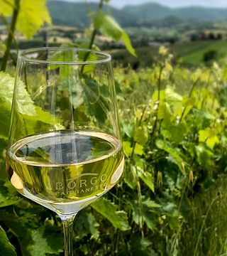 Tour und Weinprobe im Borgo Paglianetto