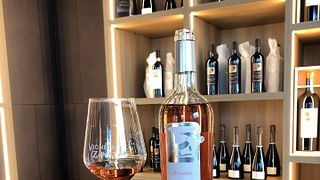 Wine Tasting and Tour at Vigneti Zanatta
