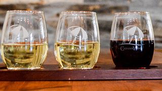 Dégustation de vins et visite du vignoble Cabana