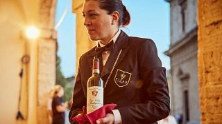 Experiencia de vino y sabor de Montepulciano Cata de vinos Media