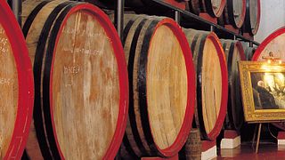 Wine Tasting and Tour at Alagna Vini