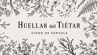 Dégustation de vins et visite à la Bodega Huellas del Tiétar