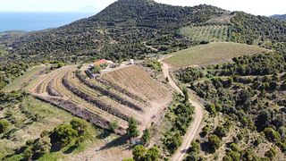 Tsikrikonis Winery