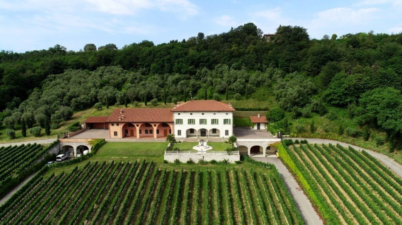 Wine Tasting and Tour at Cantina Lovera