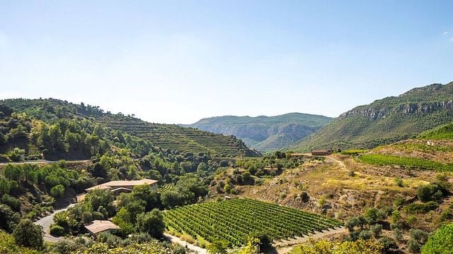 Degustação de vinhos premium e tour em La Conreria d'Scala Dei