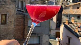 Degustazione di vini e tour a Sangenís I Vaqué