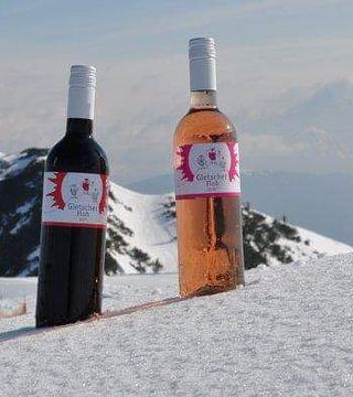Dégustation de vins et visite au Weingut Steyrer
