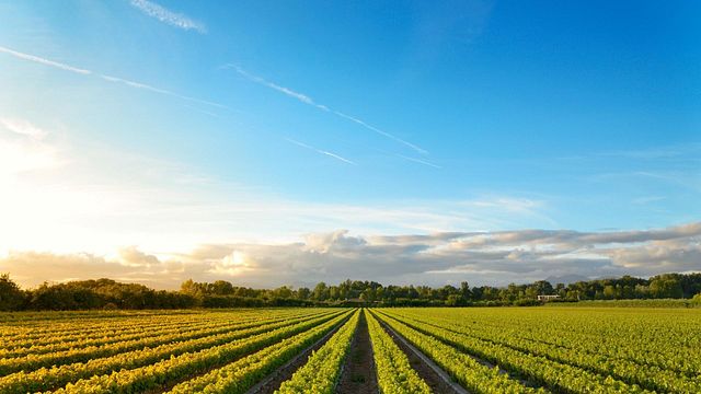 The Art of Tasting Portugal