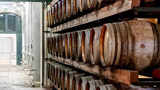Private Cheese, Wine & Tiles: A Hands-On Lisbon Experience