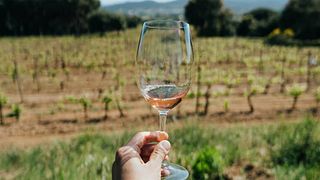 Bodegas Clos D'Agon