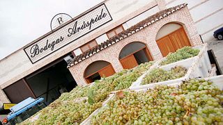 Wine Tasting and Tour at Bodegas Aruspide