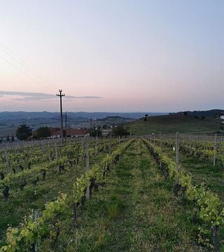 Piedmont Wine & Vineyard Tour at Cascina Garitina