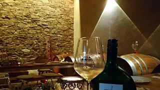 Klassische Weinprobe und Führung im Weingut Lange - Schloss Saaleck