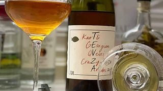 Degustazione di vini e visita alla cantina Tevza