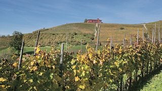 Manfredi - Bricco Rosso Winery