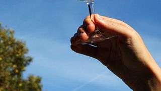 Degustação de vinhos e tour em Vignoble Klur
