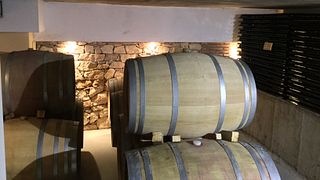 Celler Crivellé I Valls