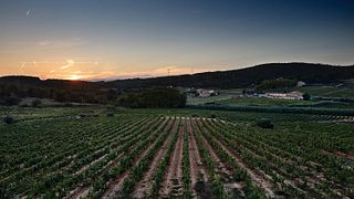 Degustação de vinhos e tour na Casa Ravella