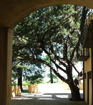 Cata de vinos
