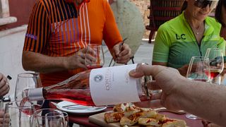 Tour pela vinícola e degustação de vinhos premium na Tenute Girolamo em Valle d'Itria