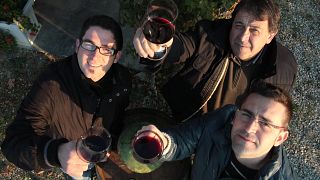 Vinprovning och rundtur på Cortino Produttori Dianesi