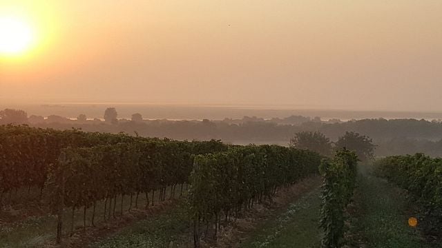 Taschner Wine and Sparklinghouse