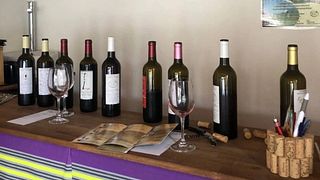 Mattina Degustazione di vini e visita al Domaine Vents du Sud 