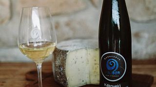 Balaton Wine & Views Tasting Escape