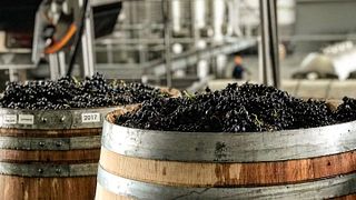 Lomond Wine Estate