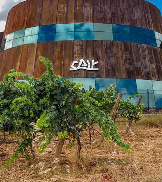 Visite et dégustation de vins avec tapas à Dominio De Cair