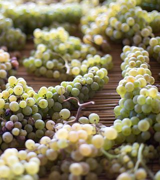 Terre Di Perseto in Chianti Classico