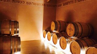 Degustazione di vini e tour a Clos Mesorah e La Saltadora