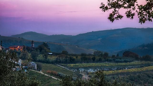 Tour dei vigneti a Le Guaite di Noemi