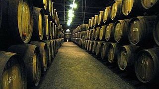 Degustação de vinhos e tour na Bodega San Martin De Abalos