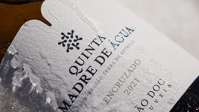 Dégustation de vins et fromages Madre de Água