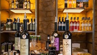Degustação de vinhos e tour no Château Virant