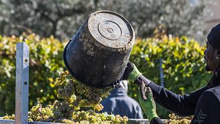 Exclusivité vinicole à la cave Perticaia