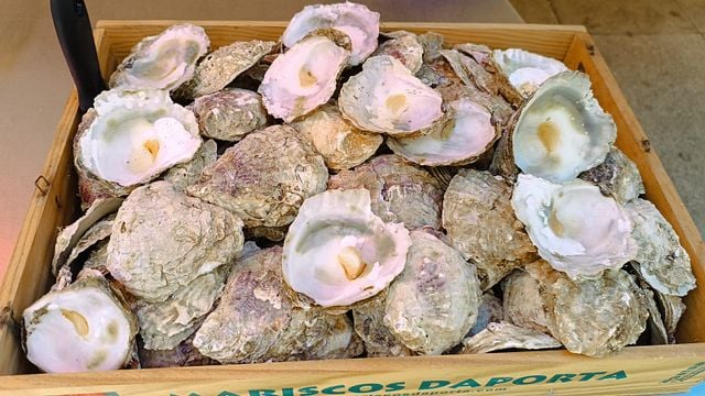 Vigo: Experiencia marinera (ostras, pulpo, langosta) 
