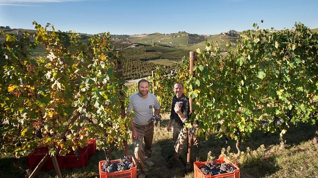 Discover Langhe