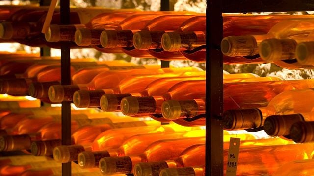 Bordeaux Sauternes Grand Cru Tasting & Vineyard Tour