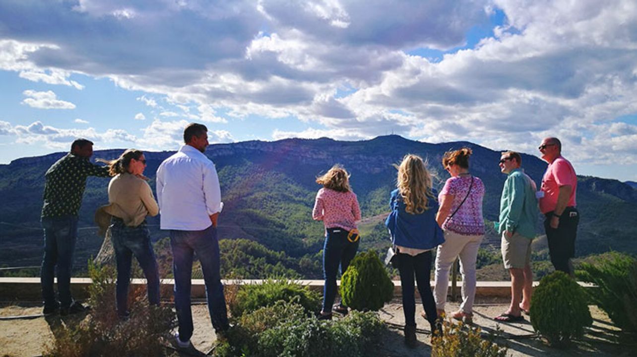 Tour Privado Priorat: Adegas Exclusivas, Vinhos e Campo Único
