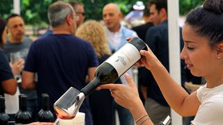 Degustazione di vini e tour ai vigneti di Tzora