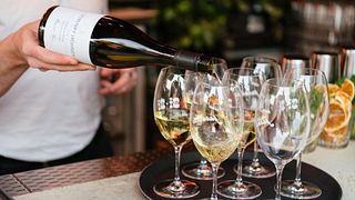 Weinprobe und Führung bei Mchenry Hohnen
