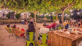 Dégustation et visite de vins à Artcava. Celler Can Batlle