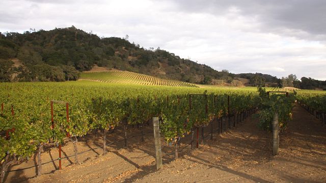 Degustazione di vini e visita presso la famiglia Volker Eisele