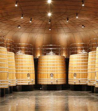 Tour del Museo (non guidato) + Tour della cantina a Vivanco