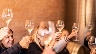Discover Langhe Wines on a Scenic Tour near Barolo