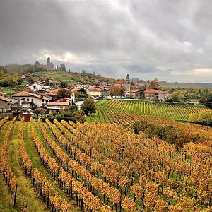 Villa di lusso ad uso esclusivo - Peterc Vineyard Estate