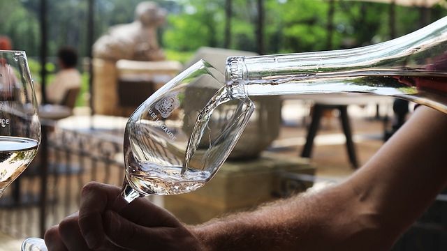 Visit & Wine Tasting at Château de la Gaude