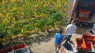 Dégustation de vins "Séduction" avec spécialités locales et visite à La Table De Pierre Bourée